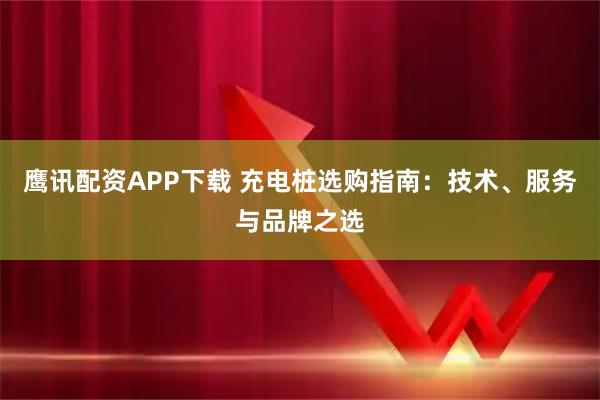 鹰讯配资APP下载 充电桩选购指南：技术、服务与品牌之选