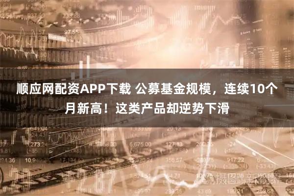 顺应网配资APP下载 公募基金规模,连续10个月新高!这类产品却逆势下滑
