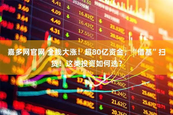 嘉多网官网 全线大涨！超80亿资金，“借基”扫货！这类投资如何选？