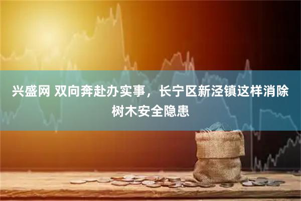 兴盛网 双向奔赴办实事，长宁区新泾镇这样消除树木安全隐患