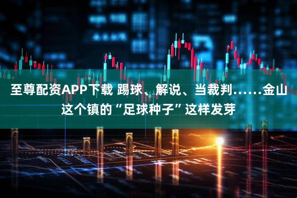 至尊配资APP下载 踢球、解说、当裁判……金山这个镇的“足球种子”这样发芽
